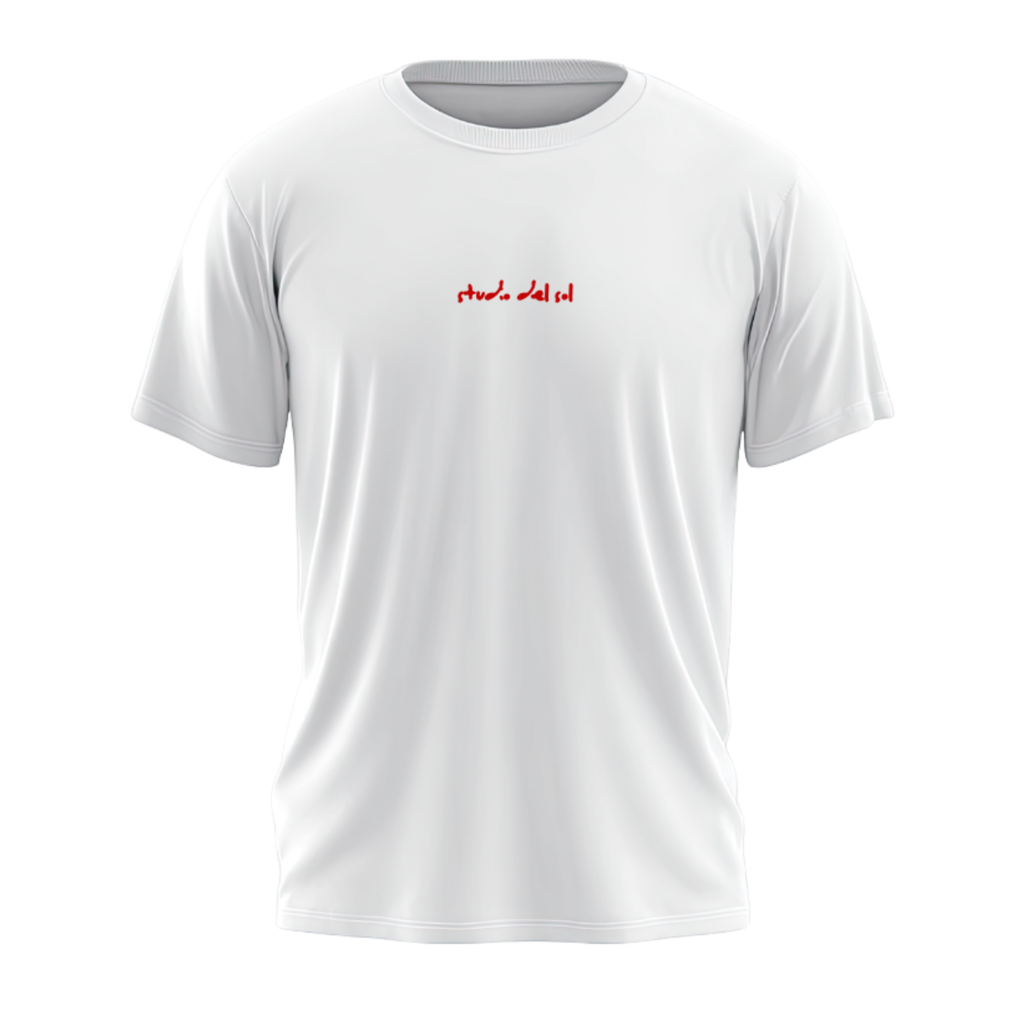 Tee Shirt "La Vie Qu'on Mérite Est Dans Le Sud"